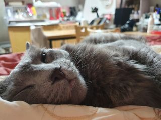 효성님이 올린 리뷰 사진 1