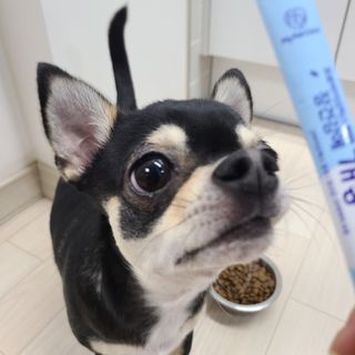 Sori님이 올린 리뷰 사진 4