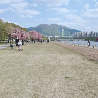 sowon님이 올린 리뷰 사진 1