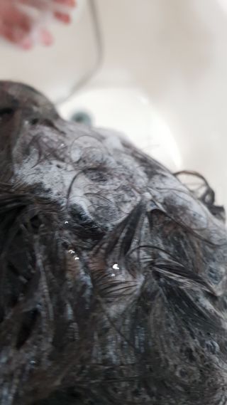 [바이오맥스] 프로코어 탈모완화샴푸 1000ml — 4.5점을 준 리뷰어가 2022년 8월 올린 사용 사진