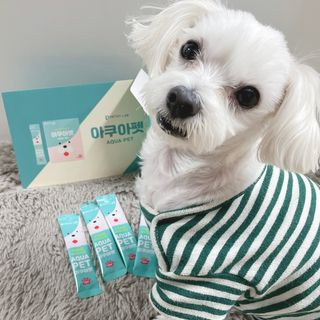 펫시랩 반려견용 액상 프리바이오틱스 아쿠아펫 — 4.5점을 준 리뷰어가 2021년 1월 올린 사용 사진