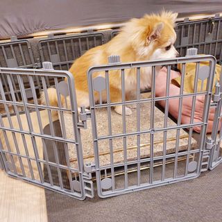 좋아님이 올린 리뷰 사진 2
