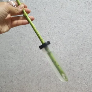 사막여우님이 올린 리뷰 사진 4
