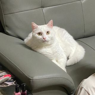ㄹ진님이 올린 리뷰 사진 3
