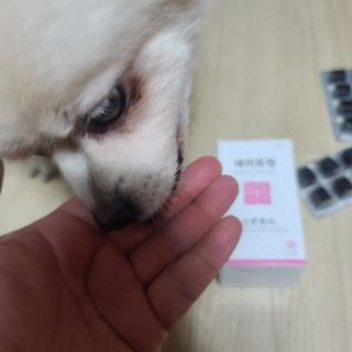 곰같은여우님이 올린 리뷰 사진 3