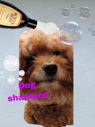 진시님이 올린 리뷰 사진 3