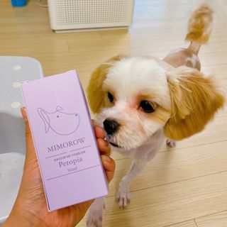 원땡잉님이 올린 리뷰 사진 1