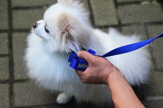 JAY님이 올린 리뷰 사진 3