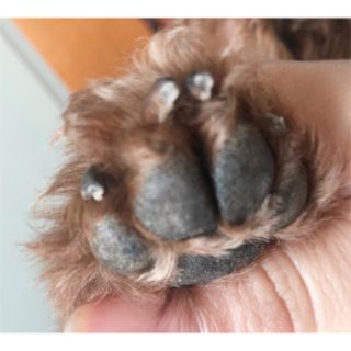 비키바라님이 올린 리뷰 사진 3