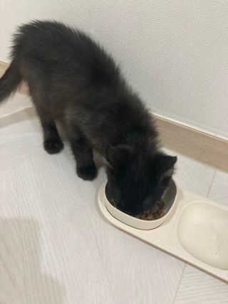 예린맘님이 올린 리뷰 사진 3