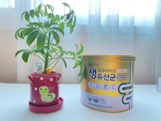 유니나님이 올린 리뷰 사진 1