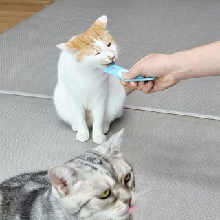 페페로니 잘 먹는 캣츄 - 원양선 참치 24개입 — 5점을 준 리뷰어가 2021년 7월 올린 사용 사진