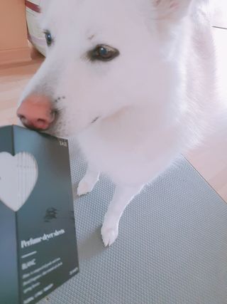 [이즈라이프코스메틱] 퍼퓸 드라이어 시트 히노끼향  or 블랑향 2중 택1 30매 — 4.5점을 준 리뷰어가 2021년 5월 올린 사용 사진