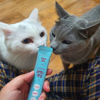 페페로니 잘 먹는 캣츄 - 원양선 참치 24개입 — 5점을 준 리뷰어가 2021년 10월 올린 사용 사진