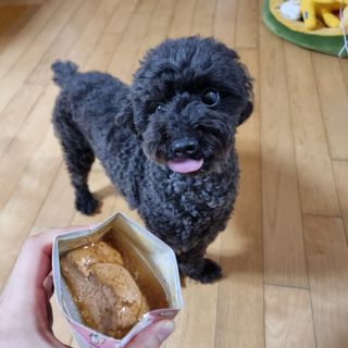apple님이 올린 리뷰 사진 2