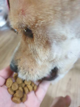 5냥2멍님이 올린 리뷰 사진 3