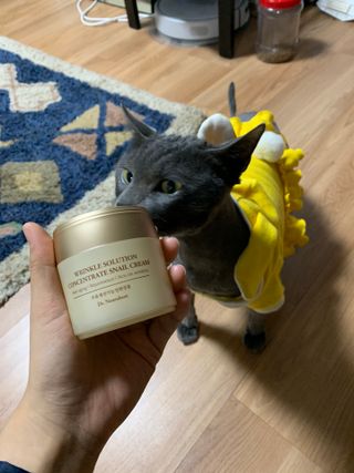 Dr.느루벗 느루벗 링클 솔루션 콘센트레이트 스네일 탄력 달팽이 크림 80g — 5점을 준 리뷰어가 2021년 4월 올린 사용 사진