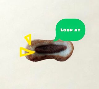 뽀야님이 올린 리뷰 사진 3