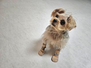 윤복댕님이 올린 리뷰 사진 4