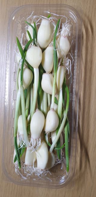 냥맘꼬님이 올린 리뷰 사진 2