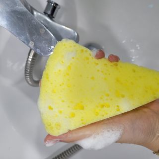 직장인님이 올린 리뷰 사진 2
