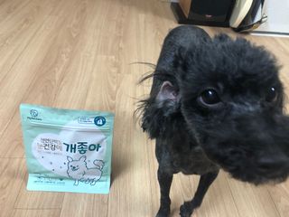 My Pet Care 천연단백질 눈건강에 개좋아 — 5점을 준 리뷰어가 2021년 2월 올린 사용 사진