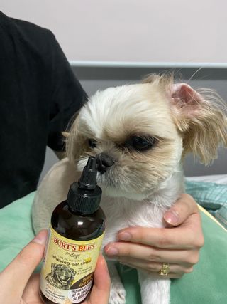 츄자매뽐까님이 올린 리뷰 사진 4