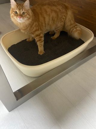 민댕댕이님이 올린 리뷰 사진 3