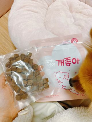My Pet Care 천연단백질 관절건강에 개좋아 — 5점을 준 리뷰어가 2020년 12월 올린 사용 사진