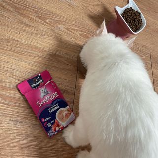 noname님이 올린 리뷰 사진 4
