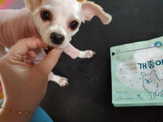 이주현님이 올린 리뷰 사진 1