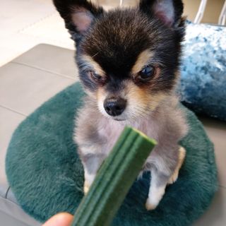 복도리님이 올린 리뷰 사진 4