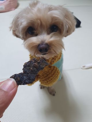 아코맘님이 올린 리뷰 사진 1