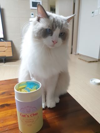 페페로니 잘 먹는 캣츄 - 무항생제 닭고기 12개 + 원양선 참치 12개 — 5점을 준 리뷰어가 2021년 8월 올린 사용 사진