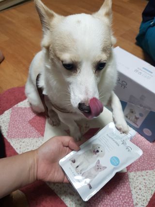모델윤지님이 올린 리뷰 사진 1