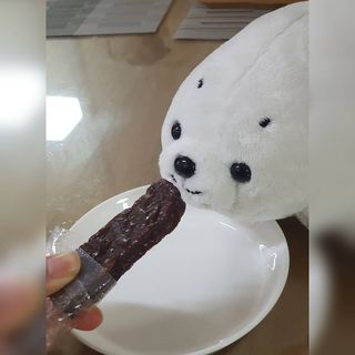 물끼님이 올린 리뷰 사진 3