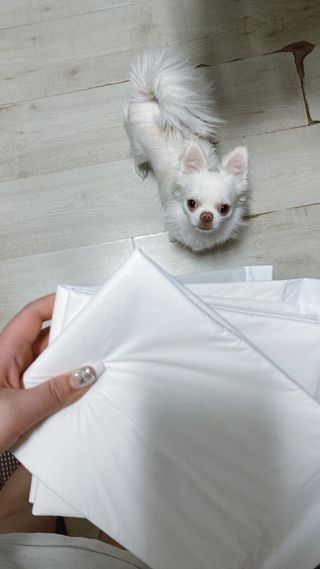 요블리님이 올린 리뷰 사진 1