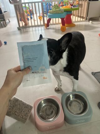 또용님이 올린 리뷰 사진 3