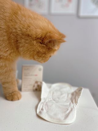 딸기우유님이 올린 리뷰 사진 4