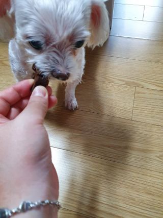 끌랑님이 올린 리뷰 사진 4