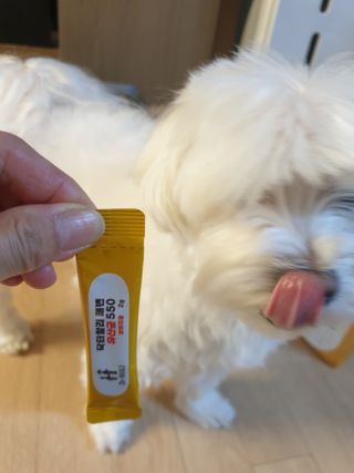 제니스트래블고근배대표님이 올린 리뷰 사진 4