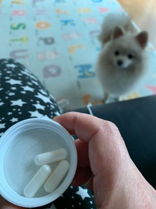 슬림플래닛 L카르니틴 2000mg 엑서사이즈 — 5점을 준 리뷰어가 2021년 3월 올린 사용 사진