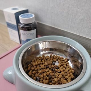 펫21 그로그로 5종 강아지 고양이 반려동물 한방 영양제 — 4점을 준 리뷰어가 2021년 12월 올린 사용 사진