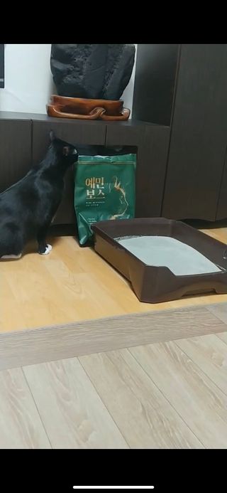 낭낭이님이 올린 리뷰 사진 3