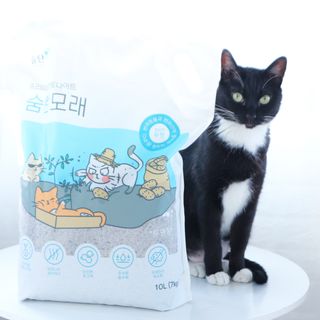 모리님이 올린 리뷰 사진 1