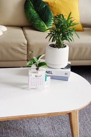 [메이크정글] 식물과 달력이 하나로, 2023년 식물캘린더 No.1 — 5점을 준 리뷰어가 2022년 10월 올린 사용 사진