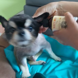 복도리님이 올린 리뷰 사진 2