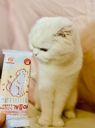 My Pet Care 모발과 모질 피부건강에 개좋아 — 5점을 준 리뷰어가 2021년 2월 올린 사용 사진