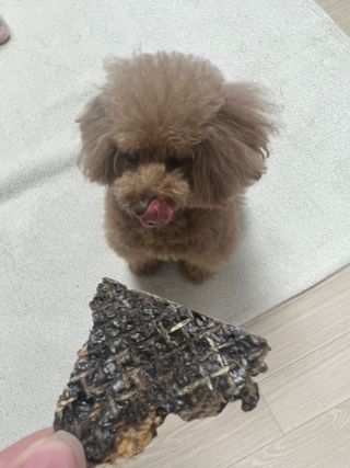 코끼리님이 올린 리뷰 사진 3