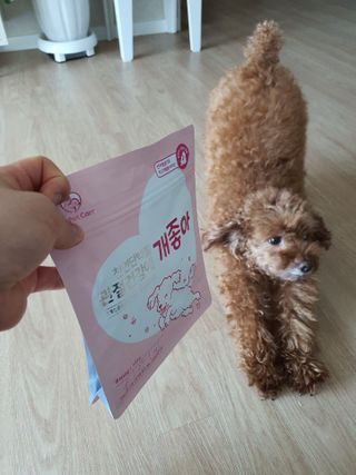 My Pet Care 천연단백질 관절건강에 개좋아 — 5점을 준 리뷰어가 2021년 1월 올린 사용 사진